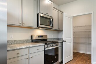 56 Cedar View Cir in Bluffton, SC - Building Photo - Building Photo