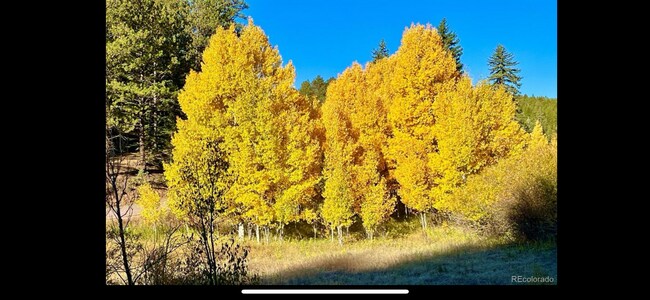 12191 Tecumseh Trl, Unit Furnished Studio Apt in Conifer, CO - Building Photo - Building Photo