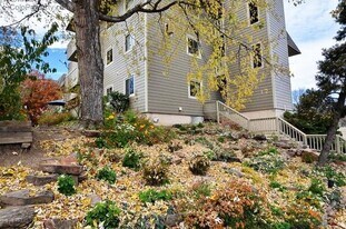 3240 Iris Ave, Unit 206 in Boulder, CO - Building Photo