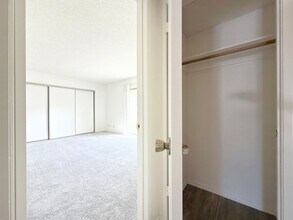 6693 Corte Maria in Carlsbad, CA - Building Photo - Building Photo