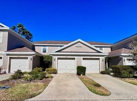 10035 Tranquility Way in Tampa, FL - Building Photo