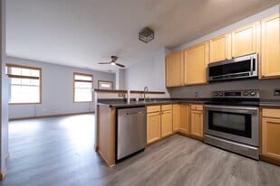 14297 Banyan Ln in Rosemount, MN - Building Photo