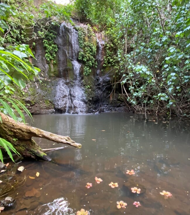 630 E Kuiaha Rd