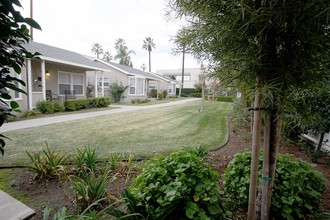 256 W College St in Covina, CA - Building Photo - Building Photo