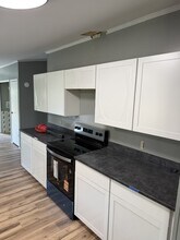 214 Magnolia Way in Asheville, NC - Building Photo - Building Photo