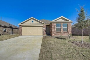 2817 Watchpoint Rd in Little Elm, TX - Building Photo