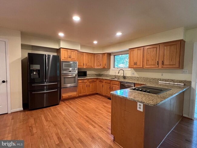 247 Springvale Rd in Great Falls, VA - Building Photo - Building Photo