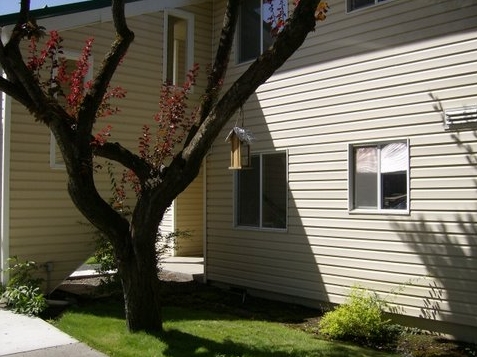 Cottonwood in Joseph, OR - Building Photo