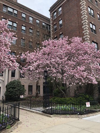 property at 2003 Commonwealth Ave