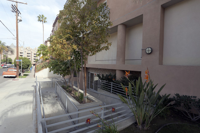 980 S Oxford Ave in Los Angeles, CA - Foto de edificio - Building Photo