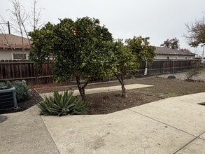 1519 Main St in Newman, CA - Building Photo - Building Photo