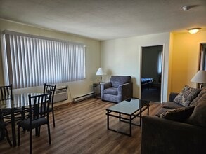 906 S Locust St in Champaign, IL - Building Photo - Building Photo