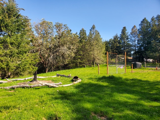 property at 1301 Mustang Dr