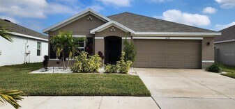 16778 Carlton Pond St, Unit 2410A in Wimauma, FL - Building Photo