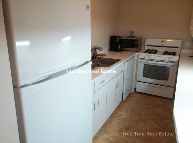 1000 Memorial Dr-Unit -3 in Cambridge, MA - Building Photo