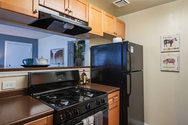 Parke Laurel Apartment Homes in Laurel, MD - Building Photo - Building Photo