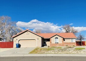 1227 Green Valley Dr in Fallon, NV - Building Photo