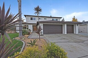 249 Purple Glen Dr in San Jose, CA - Building Photo