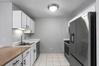 545 N Dearborn St, Unit 1305 in Chicago, IL - Building Photo - Building Photo