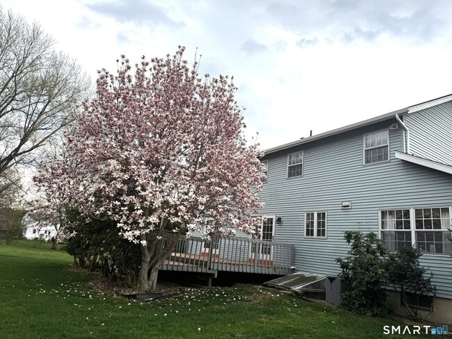 81 Mark Dr in Glastonbury, CT - Building Photo - Building Photo