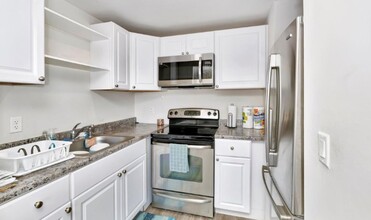 Dolphin Point Apartments in Clearwater, FL - Building Photo - Interior Photo