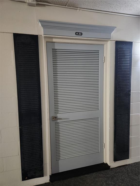 3325 Bayshore Blvd in Tampa, FL - Building Photo - Building Photo