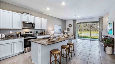 32615 Turtle Grace Loop in Wesley Chapel, FL - Building Photo - Building Photo