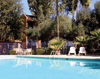 Pool - River Oaks Apartamentos in Tucson, Arizona
