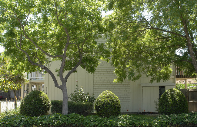 3550 Chestnut Ave in Concord, CA - Foto de edificio - Building Photo