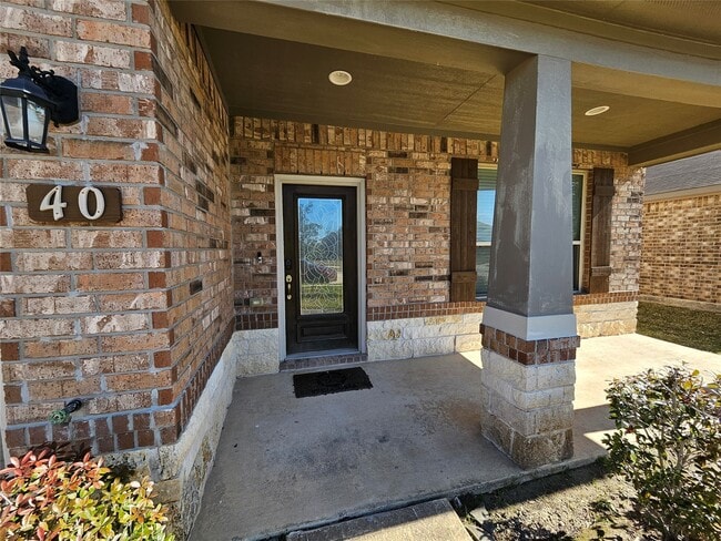 40 Alyssa Palms Dr in Manvel, TX - Building Photo - Building Photo
