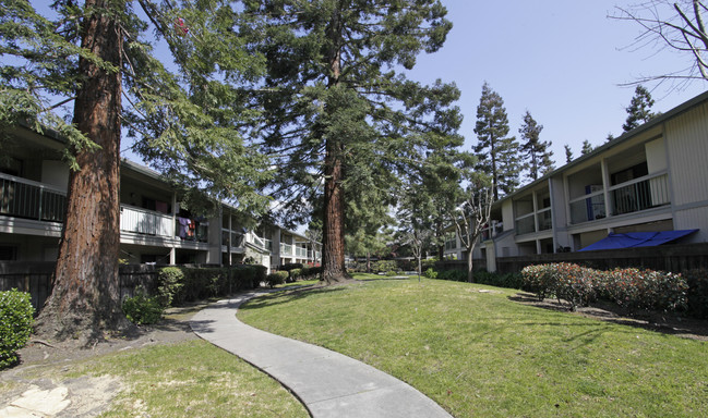 Amberwood Garden Apartments in Hayward, CA - Foto de edificio - Building Photo