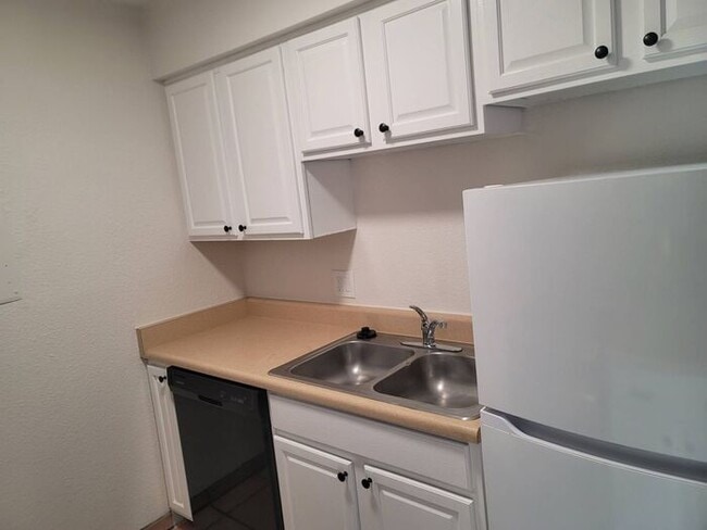 926 N Belvedere Ave in Tucson, AZ - Building Photo - Building Photo