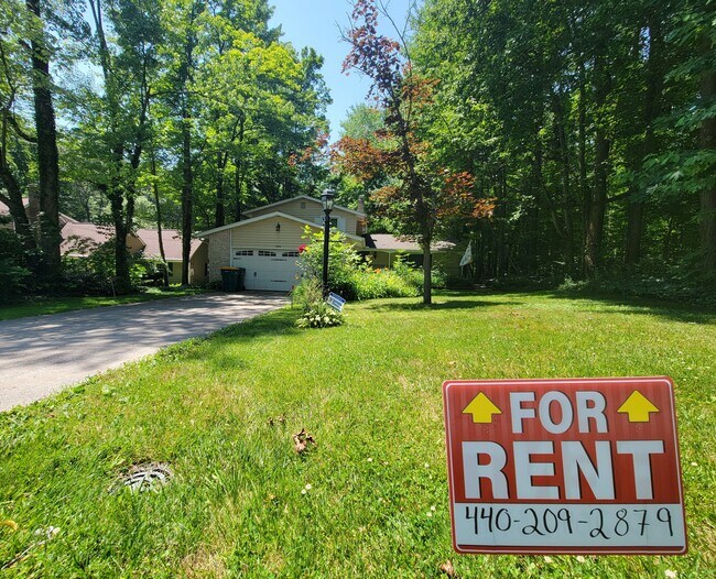12824 Opalocka Dr in Chesterland, OH - Building Photo - Building Photo