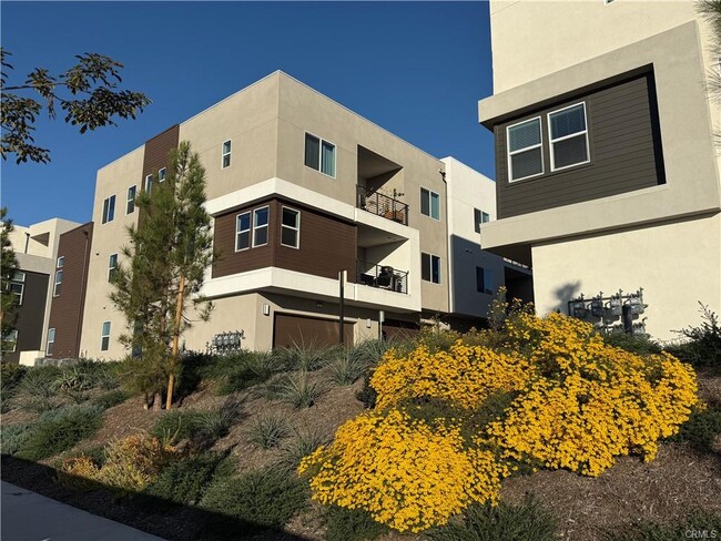 property at 479 Mulligan