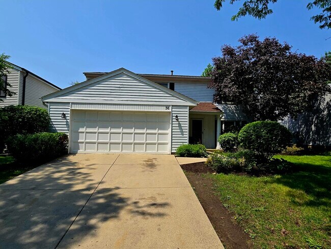 property at 36 Monterey Dr