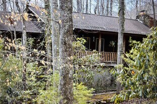 16 Alpen Rose Way in Mills River, NC - Building Photo
