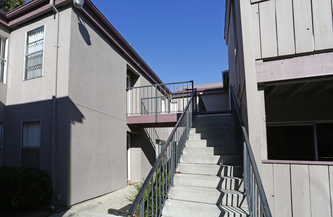 Park Haven Apartments in Concord, CA - Foto de edificio - Building Photo