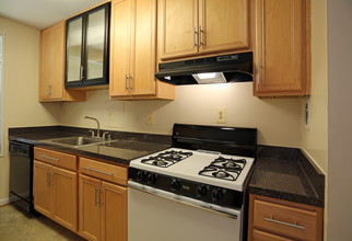 Steward Tower Apartments in Laurel, MD - Building Photo - Interior Photo