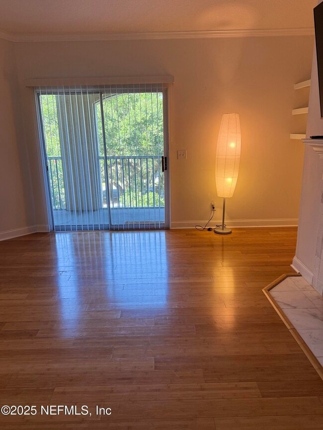 120 Veracruz Dr in Palm Valley, FL - Building Photo - Building Photo