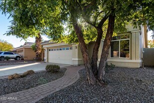 1345 W Musket Way in Chandler, AZ - Building Photo