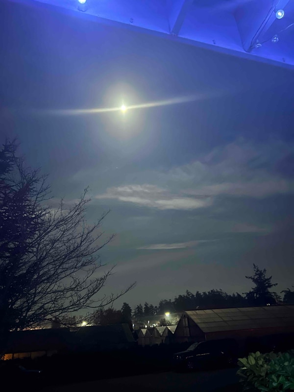 property at 651 NE Ellis Way