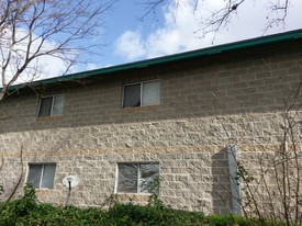 122 Roundtree Ln in San Antonio, TX - Foto de edificio - Building Photo