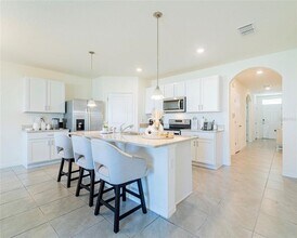 33488 Elm Hl Br in Wesley Chapel, FL - Building Photo - Building Photo