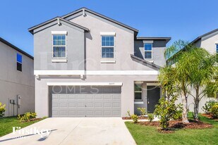 10237 Carloway Hills Dr in Wimauma, FL - Building Photo