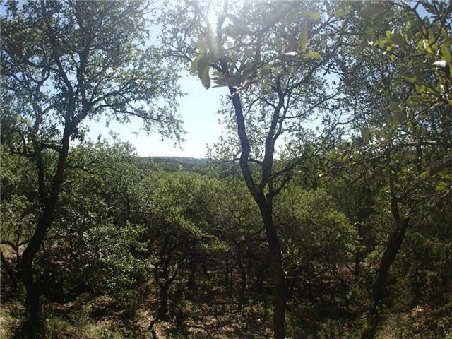 242 Frog Pond Ln in Dripping Springs, TX - Building Photo