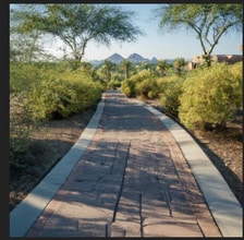 18796 W Cameron Dr in Surprise, AZ - Building Photo - Building Photo