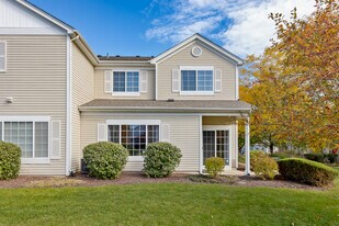 169 Braxton Ln in Aurora, IL - Building Photo