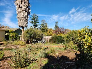 22 Yarnall Pl in Redwood City, CA - Building Photo - Building Photo