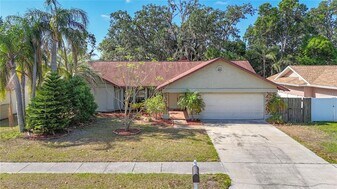 1623 Carter Oaks Dr in Valrico, FL - Building Photo