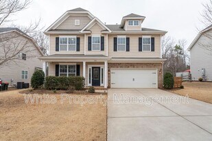 541 Daventry Ct in Clover, SC - Building Photo